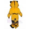 cat mascot costume