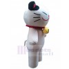cat mascot costume