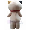 cat mascot costume