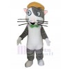 cat mascot costume