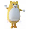 cat mascot costume