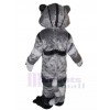cat mascot costume