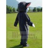 cat mascot costume