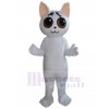 cat mascot costume