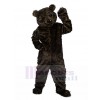 Bear mascot costume