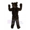 Bear mascot costume