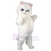 cat mascot costume