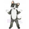 cat mascot costume
