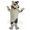 cat mascot costume