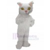 cat mascot costume
