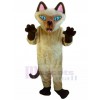 cat mascot costume
