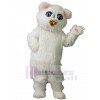 cat mascot costume