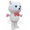 cat mascot costume