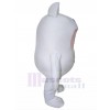 cat mascot costume