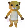 cat mascot costume