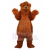 Bear mascot costume