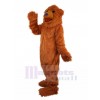 Bear mascot costume