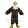 Eagle mascot costume