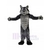 wolf mascot costume