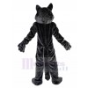 wolf mascot costume