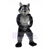 wolf mascot costume
