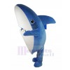 Shark mascot costume