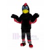 Eagle mascot costume