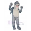 Dolphin mascot costume