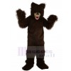Bear mascot costume