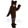 Bear mascot costume
