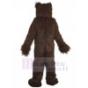 Bear mascot costume