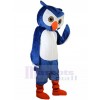 Owl mascot costume