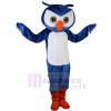 Owl mascot costume