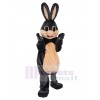 Rabbit mascot costume