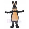 Rabbit mascot costume