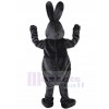 Rabbit mascot costume