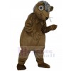 Hedgehog mascot costume