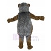 Hedgehog mascot costume