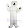Polar Bear mascot costume