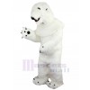 Polar Bear mascot costume