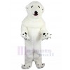 Polar Bear mascot costume