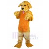 Dog mascot costume