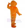 Bear mascot costume