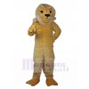 Lion mascot costume