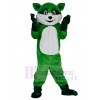 Raccoon mascot costume