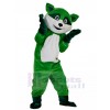 Raccoon mascot costume