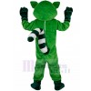 Raccoon mascot costume