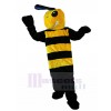 Bee mascot costume