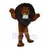 Lion mascot costume