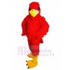 Eagle mascot costume